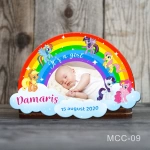 Marturii magnetice botez fetite Curcubeu - Ponei - MCC-09