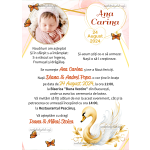 Invitatie digitala botez cu poza - fetite - Lebada - IBF-69