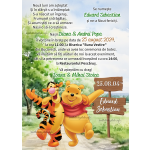 Invitatie digitala botez baieti - Winnie the Pooh - IB-113