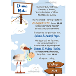 Invitatie digitala botez baieti - Barza - IB-85