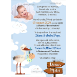 Invitatie digitala botez cu poza - baieti - Barza - IBF-225