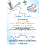 Invitatie digitala nunta si botez baieti - INB-05